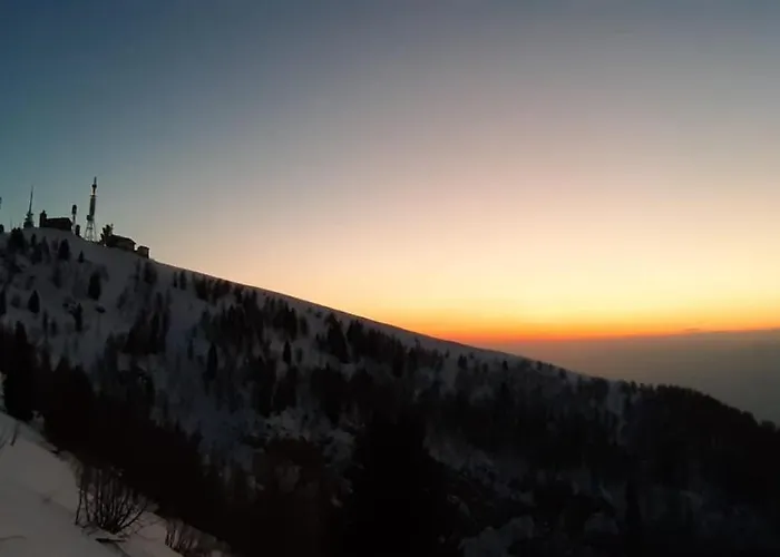 Apartament Casa Viola