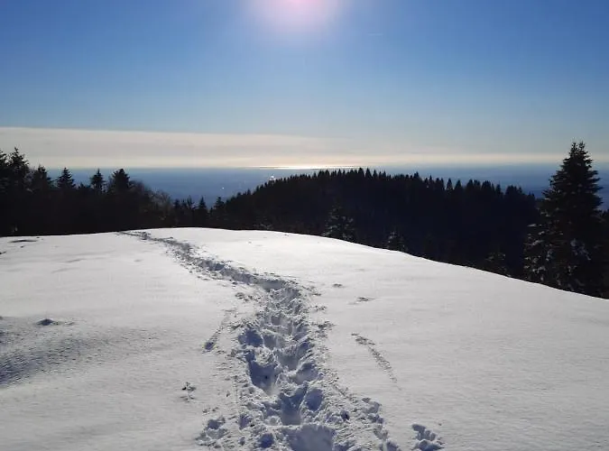 아파트 Casa Viola