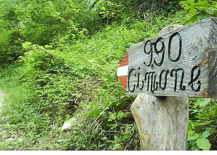 아파트 Casa Viola Sant'Antonio Tortal