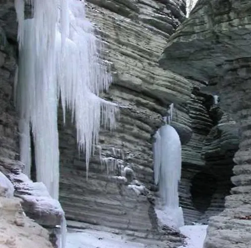 Casa Viola 아파트